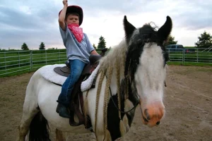 Child on a horse